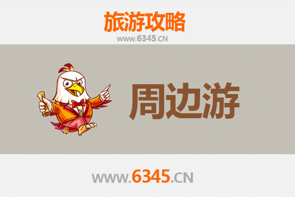 哈尔滨道里区深度游攻略：中央大街与圣索菲亚的冰雪浪漫之旅