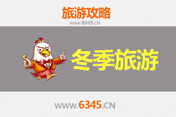 哈尔滨道里区冬季旅游全攻略：冰雪奇缘与老城风情的完美邂逅